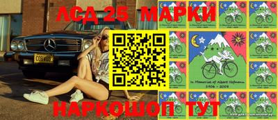 СК Пугачёв